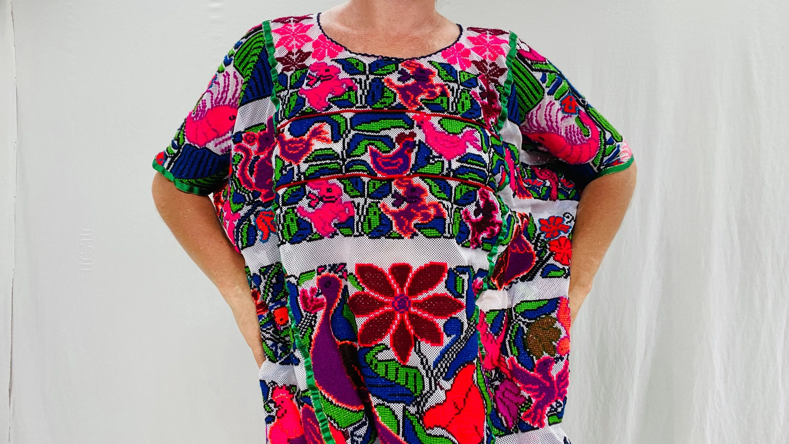 Oaxacan Huipil. Hand Embroidered. Nasavi Mixteco. Guerrero, Mexico.