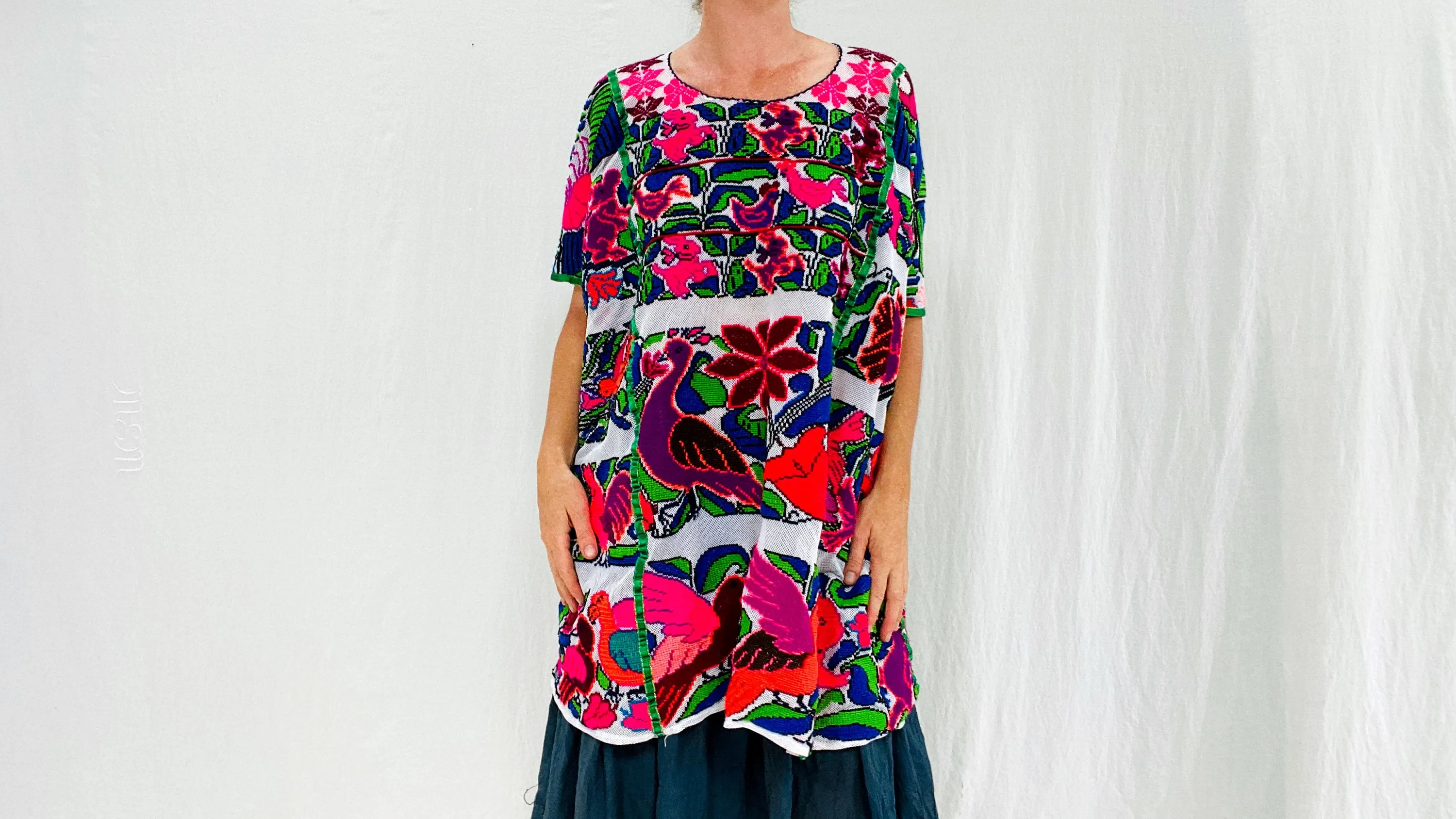 Oaxacan Huipil. Hand Embroidered. Nasavi Mixteco. Guerrero, Mexico.