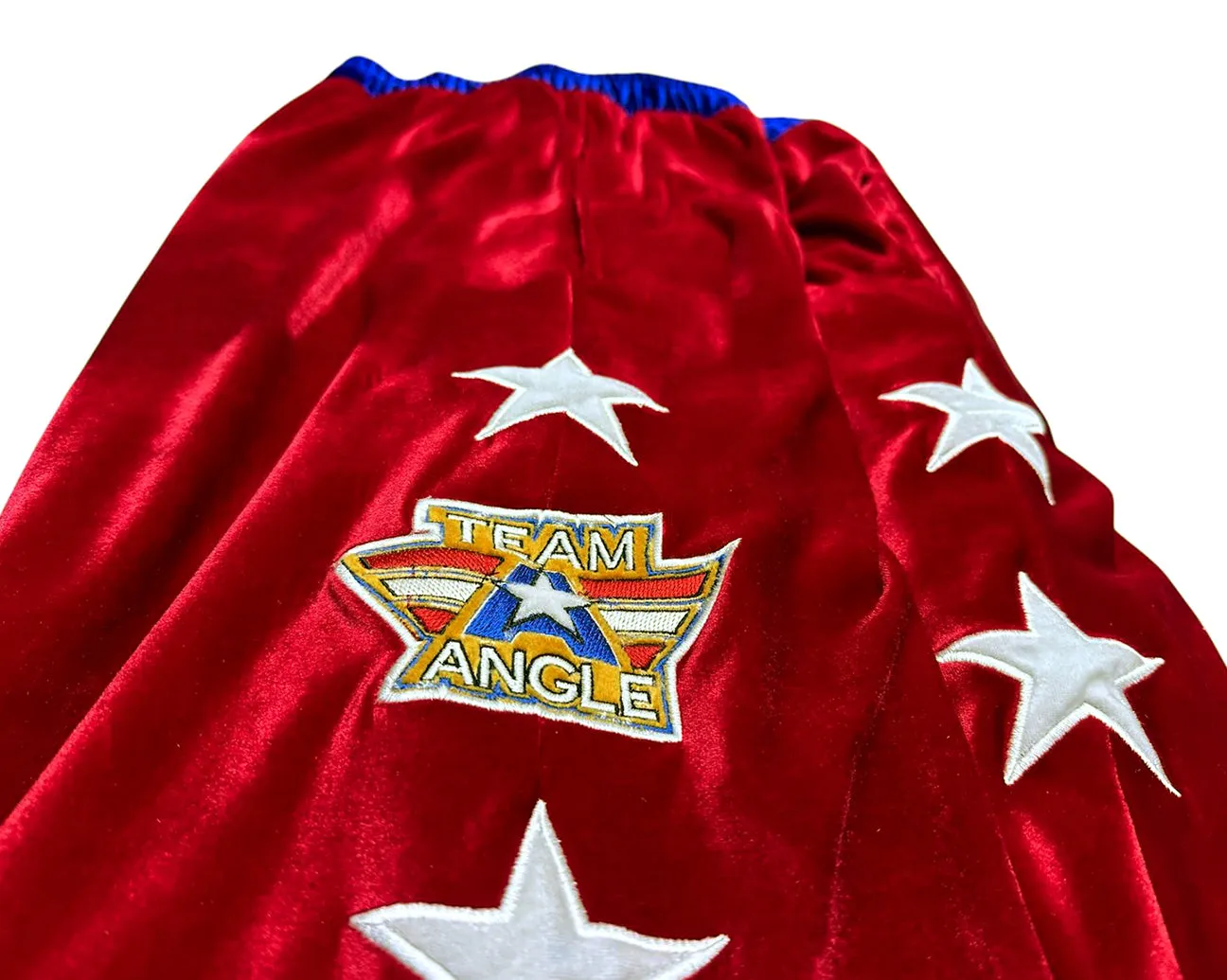 TEAM ANGLE PANTS - SINGLE SIDED