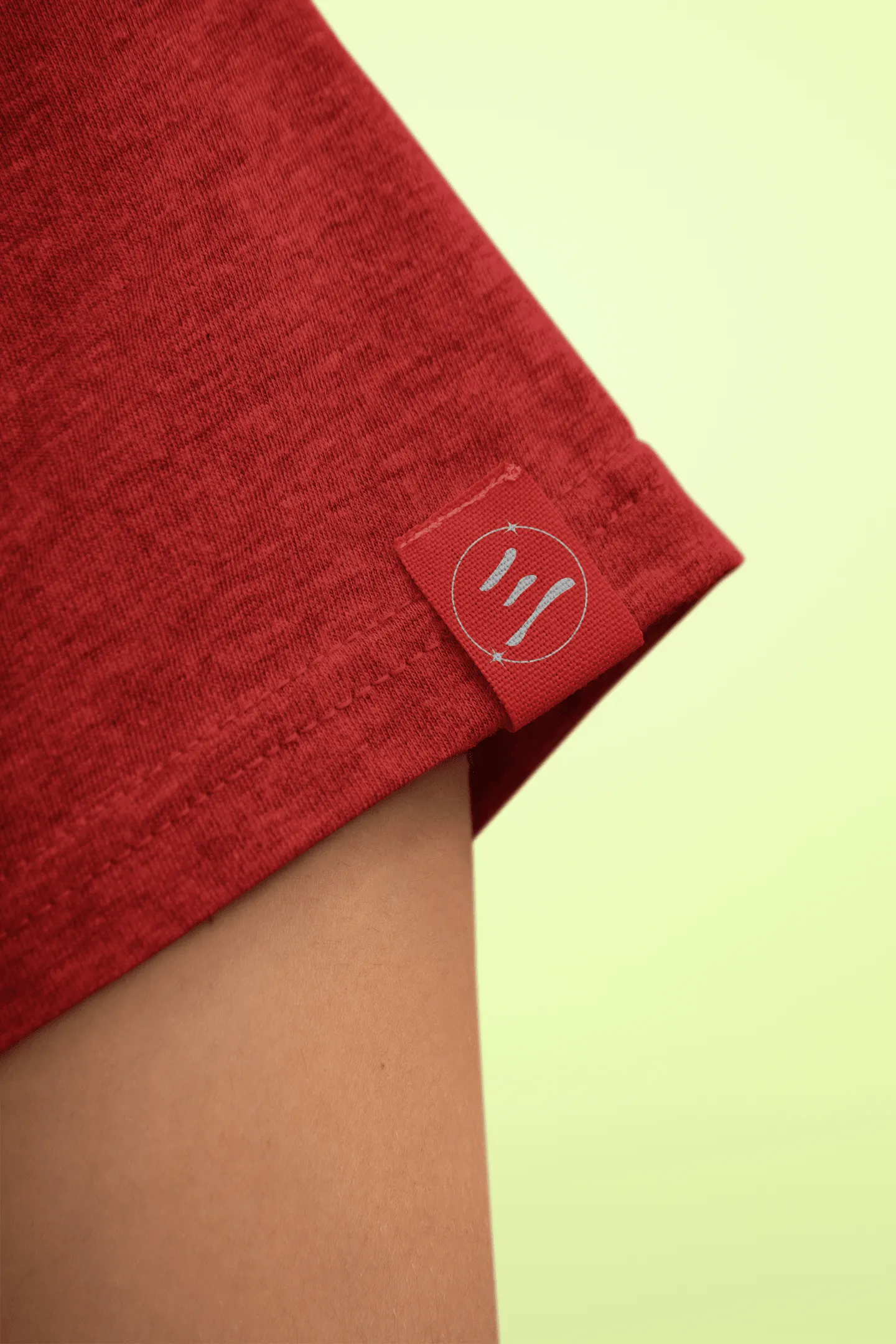 Unisex Regular Fit T-Shirt - Cotton, Bio-Washed (Brick Red)